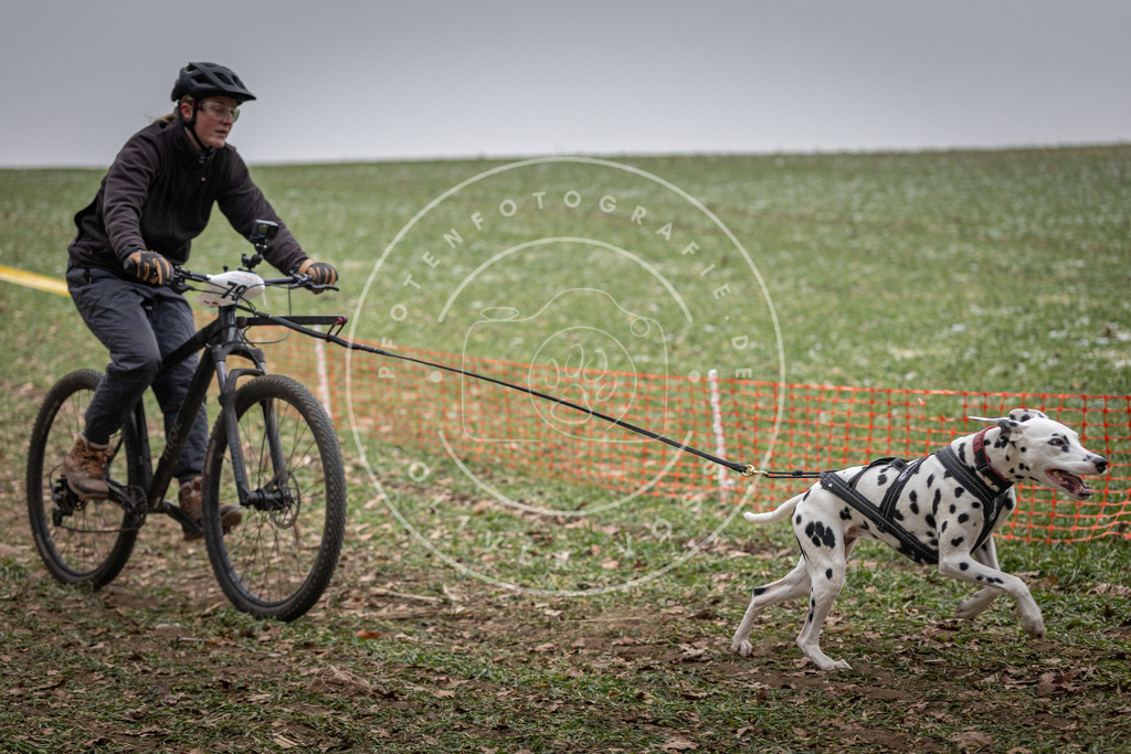 Pfotenfotografie_DV3A1775 | Hundefotografie, Tierfotograf, Pfotenfotografie, Fotoshooting Hund, Hunde Portrait, Hundesport, Hundeportraits, Heideshooting, Hunde, Sportfotograf, Hundefotograf, Turnierhundsport, THS,  - Realisiert mit Pictrs.com