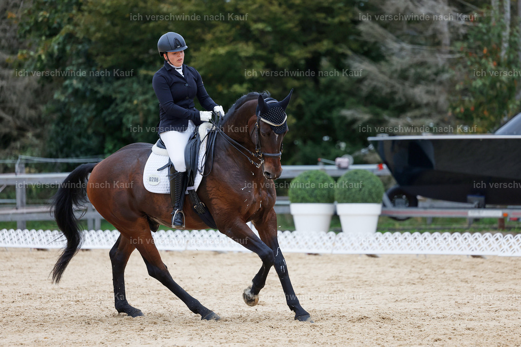 04_2-206-Dressur M__ -StoibPH-2930 | working equitationturnier fotograf videograf stoibphotography marixx film working equitation deutschland reitsport turnierfotografie eventfotografie equestrian events