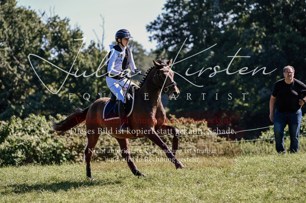 DSC_1320 | Pferde- und Turnierfotografie in Westsachsen. Pferdeportraits, Auftragszeichnungen und intuitive Kunst.