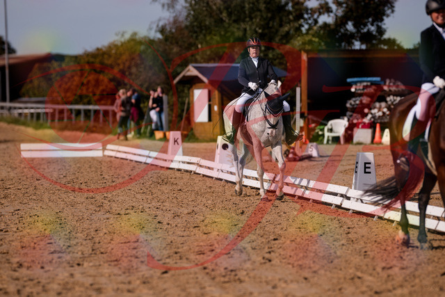 2026_10_03_Siefer-Hof_122836_Z81_27524893 | Professionelle Reitsport-, Turnier- und Eventfotografie von Robert Broda. Galerien mit ausgewählten und bearbeiteten Bildern direkt online ansehen und bestellen.