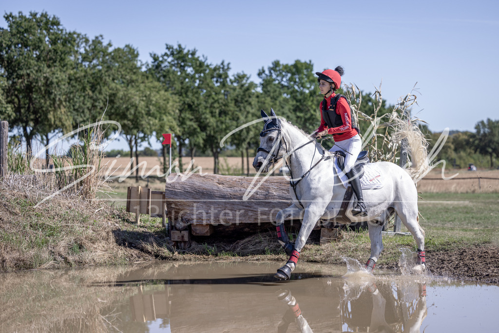 20260906-_3LI3075 | Tierfotografie Pferde, Hunde, Katzen, Haustiere.
Turnierfotografie Reitturniere, Reiten, Springreiten, Dressur in Hanau, dem Main-Kinzig-Kreis und dem Rhein-Main- Gebiet um Frankfurt