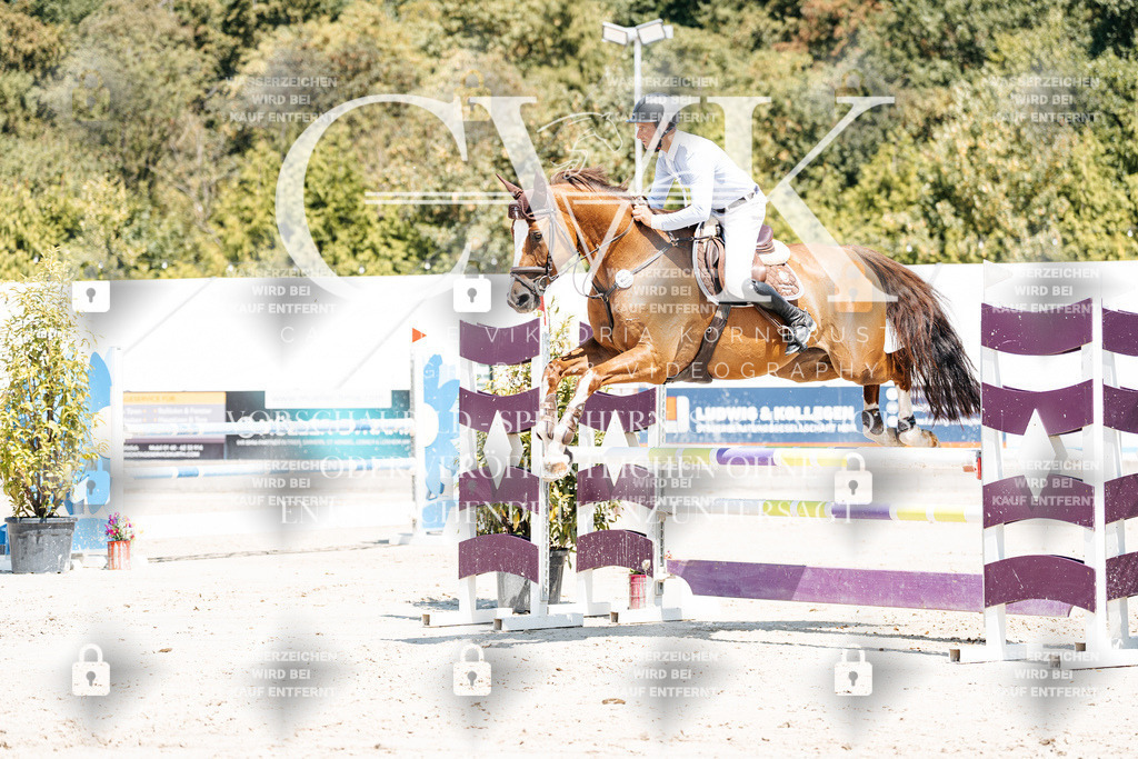 CK900194 | Turnierfotografie Pferdefotografie Trier Rheinland-Pfalz Pferdesport Reitsport Tierfotografie Sportfotografie Pferdevideo Pferdevideografie Equestrianvideography equestrianphotography  - Realisiert mit Pictrs.com