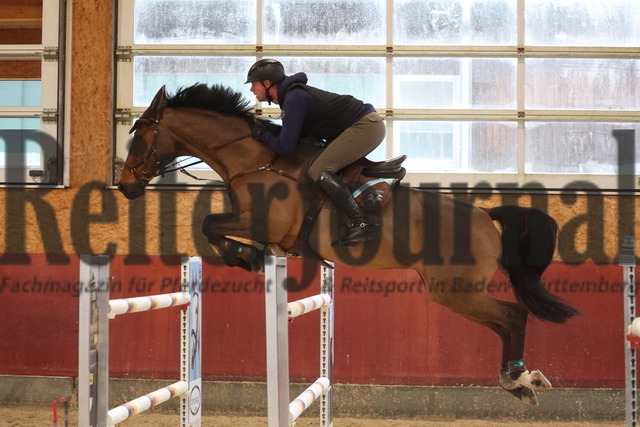 Springlehrgang_Balingen_2024_Sebastian Heller (24) | Alle Fotos der Reiterjournal Fotografin Doris Matthaes im Reiterjournal Online-Fotoshop. - Realizado com Pictrs.com
