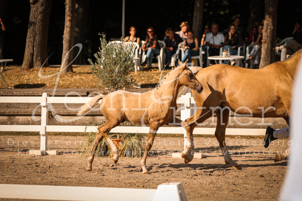 11.DoRP00096 | Leoni Ertmer Photography - Realisiert mit Pictrs.com