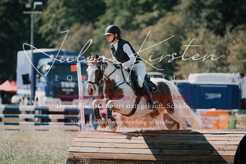 DSC_8088 | Pferde- und Turnierfotografie in Westsachsen. Pferdeportraits, Auftragszeichnungen und intuitive Kunst.