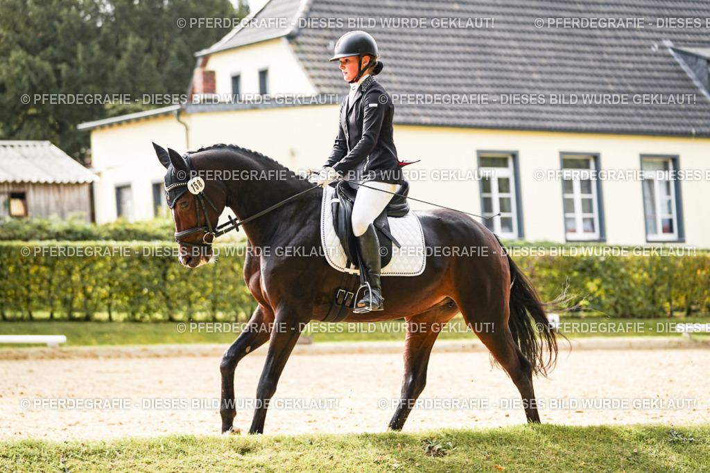 DSC00963 | Pferdegrafie