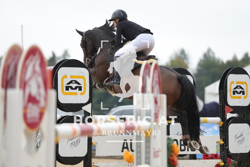 0P6A4211 | Willkommen bei Brunnmayr - Design & Fotografie – Ihrem Spezialisten für Reitturniere und Pferdeveranstaltungen in Oberösterreich, Salzburg und Bayern! Seit über 17 Jahren sind wir leidenschaftlich dabei.