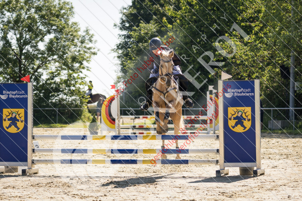 IMG_2906 | Sport-, Event- und Tierfotos in Profiqualität. Einfach auswählen, bestellen und herunterladen. Dein Moment – perfekt festgehalten.