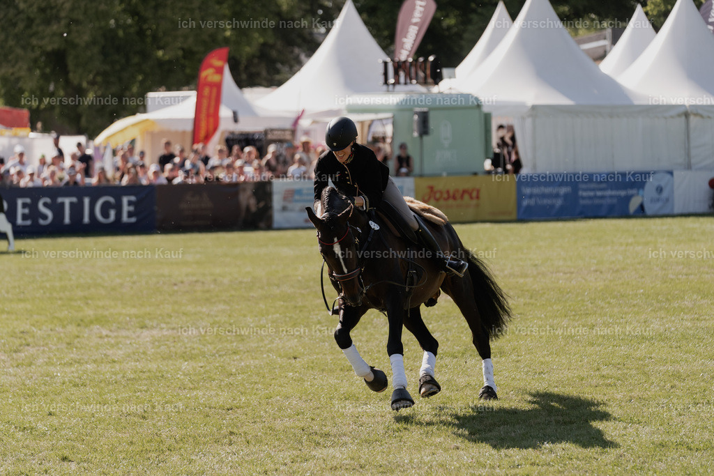 WE_MOS_Stoib_330_PI2025_2396 | Pferd International München 2025