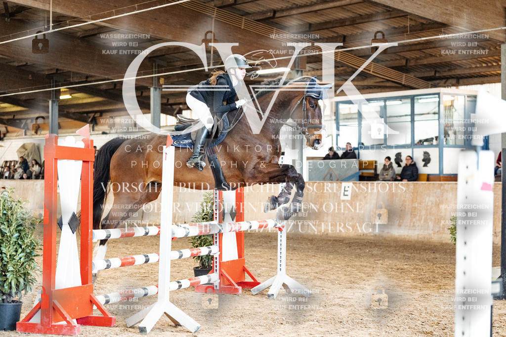 CK905210 | Turnierfotografie Pferdefotografie Trier Rheinland-Pfalz Pferdesport Reitsport Tierfotografie Sportfotografie Pferdevideo Pferdevideografie Equestrianvideography equestrianphotography  - Realisiert mit Pictrs.com