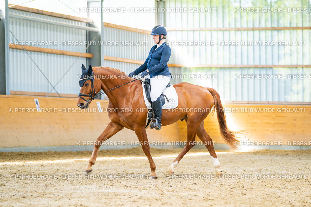 DSC07529 | Pferdegrafie