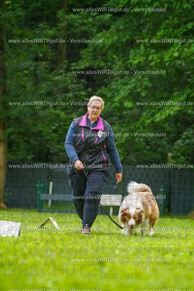 @allesWIRTHgut_Tierfotografie - www.allesWIRTHgut.de - 7R501231 | Professionelle Tierfotografie in Mönchengladbach von Daniel Wirth (allesWIRTHgut). Liebevolle & natürliche Bilder von Hunden & Katzen für unvergessliche Erinnerungen.