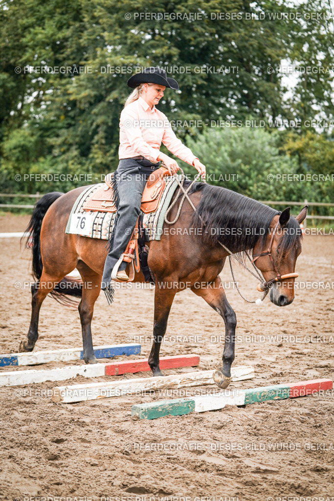 DSC03899 | Pferdegrafie