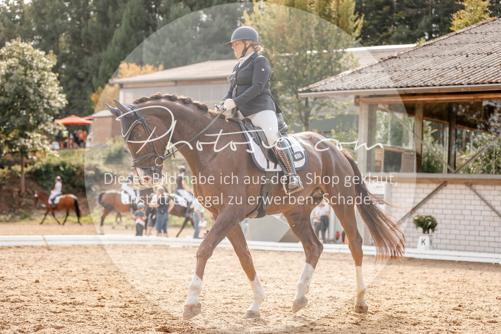 3I6A4451 | Stimmungsvolle Portraits und Reitsportfotografie im Ruhrgebiet und im Münsterland.

Pferdefotografie, Hundefotografie, Tierfotografie, Reportagen, Portraits von Tier und Mensch, Turnierfotografie in Bochum, Recklinghausen, Marl, Haltern am See, Dülmen.. - Realisiert mit Pictrs.com