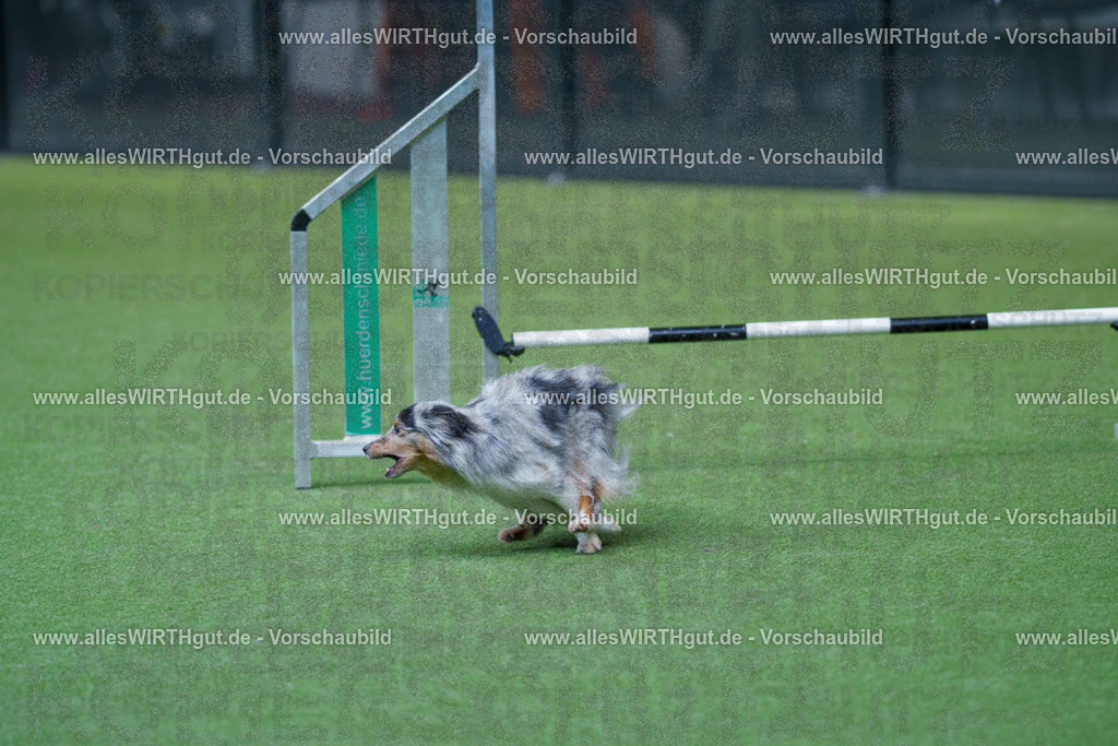 @allesWIRTHgut_Tierfotografie - www.allesWIRTHgut.de - 2604251529-7R506040 | Professionelle Tierfotografie in Mönchengladbach von Daniel Wirth (allesWIRTHgut). Liebevolle & natürliche Bilder von Hunden & Katzen für unvergessliche Erinnerungen.