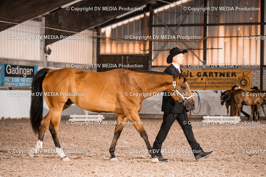 ZH200115 | dv-media-shop - Realisiert mit Pictrs.com