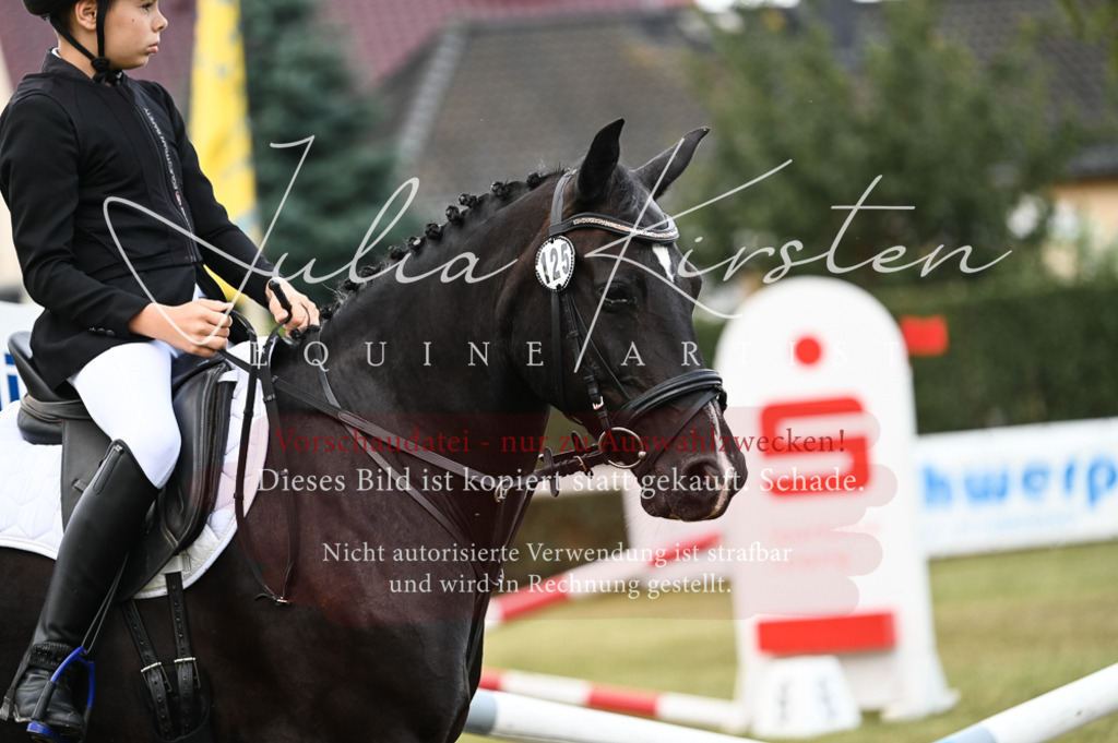 DSC_5724 | Pferde- und Turnierfotografie in Westsachsen. Pferdeportraits, Auftragszeichnungen und intuitive Kunst.