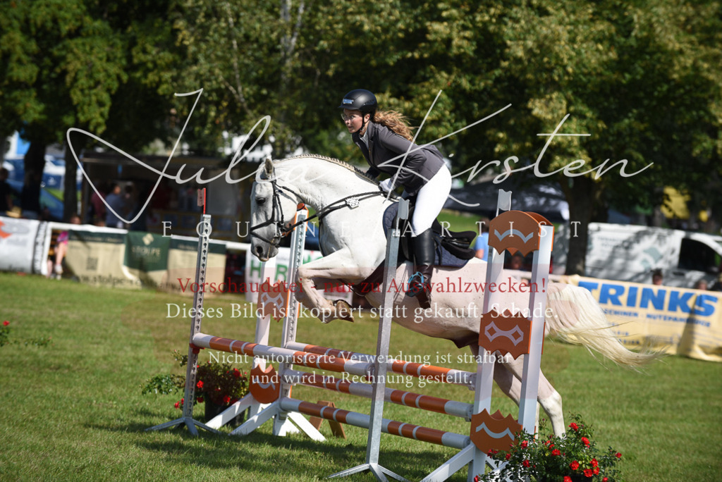 DSC_9154 | Pferde- und Turnierfotografie in Westsachsen. Pferdeportraits, Auftragszeichnungen und intuitive Kunst.