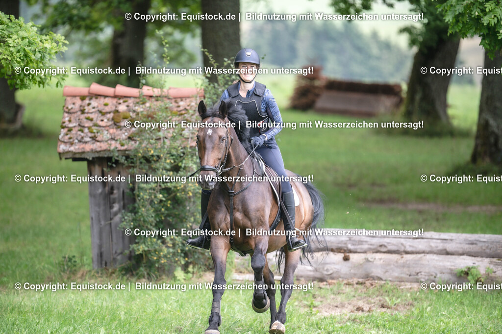 20250726_Vielseitigkeitslehrgang-Marbach_0725 | Foto: Thomas Hartig