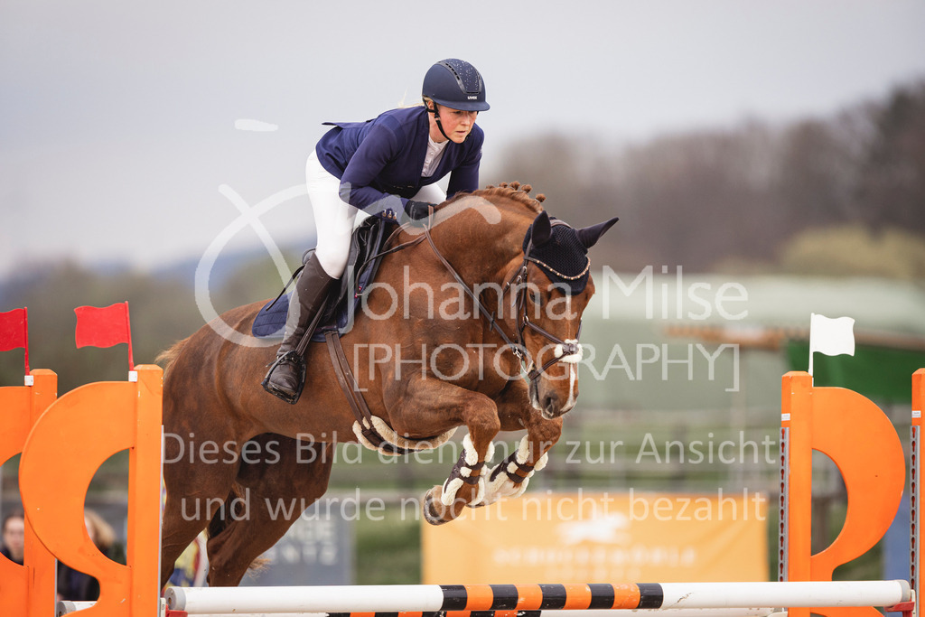 240327_Fruehlingsfest_Stil-L-2-364 | Deine schönsten Turniermomente als professionelle Fotos! Entdecke hochwertige Pferdesport-Fotografie im Online-Shop. Jetzt Fotos finden & bestellen!