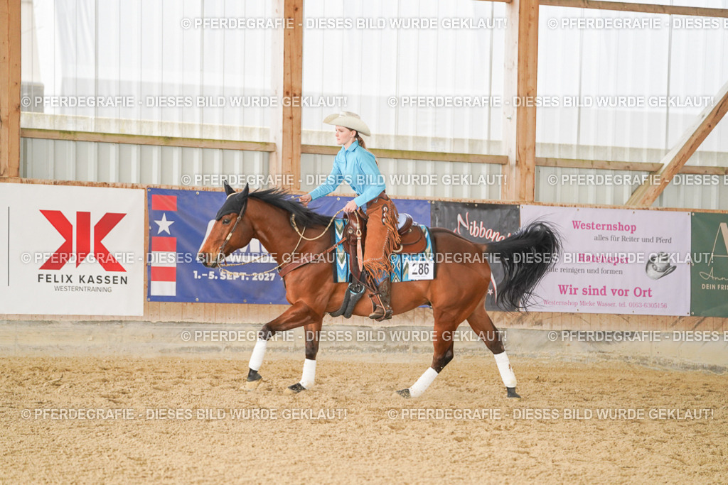 DSC00871 | Pferdegrafie