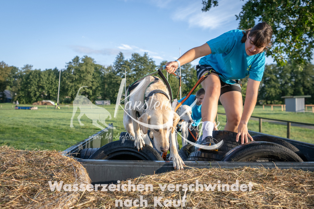 0821_ZZ91073 | kk-dogfotos