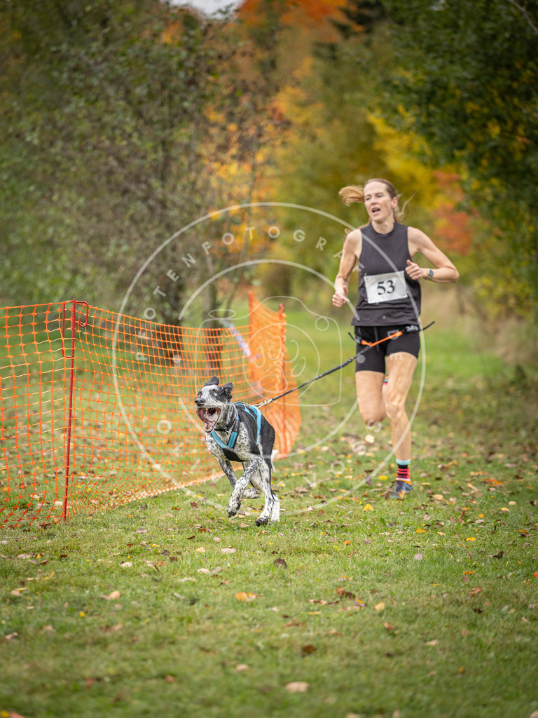 Pfotenfotografie_DV3A2530 | Hundefotografie, Tierfotograf, Pfotenfotografie, Fotoshooting Hund, Hunde Portrait, Hundesport, Hundeportraits, Heideshooting, Hunde, Sportfotograf, Hundefotograf, Turnierhundsport, THS,  - Realisiert mit Pictrs.com
