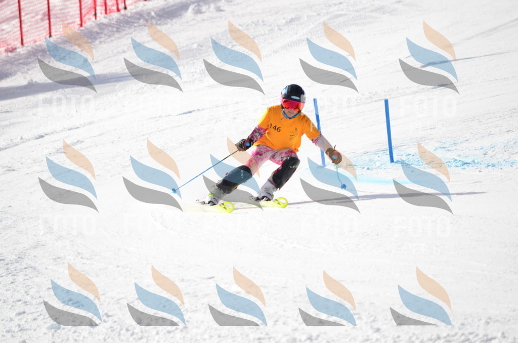 C7719 | holidayphoto