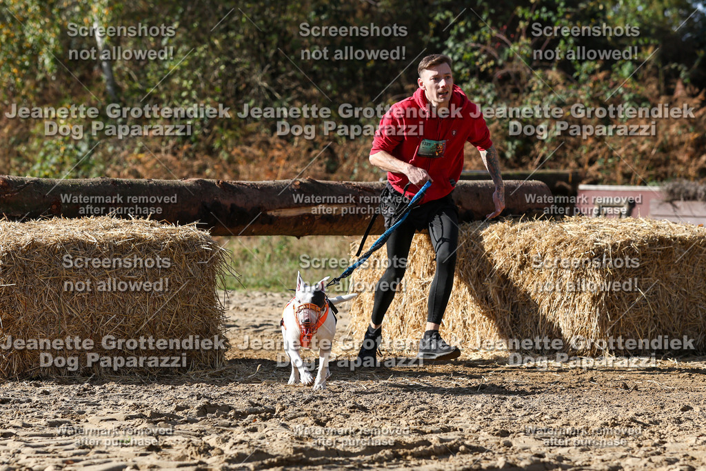 Dog Paparazzi - Strongdog 10-25-4825 | Dog Paparazzi Jeanette Grottendiek Fotografie & Videografie - Realisiert mit Pictrs.com