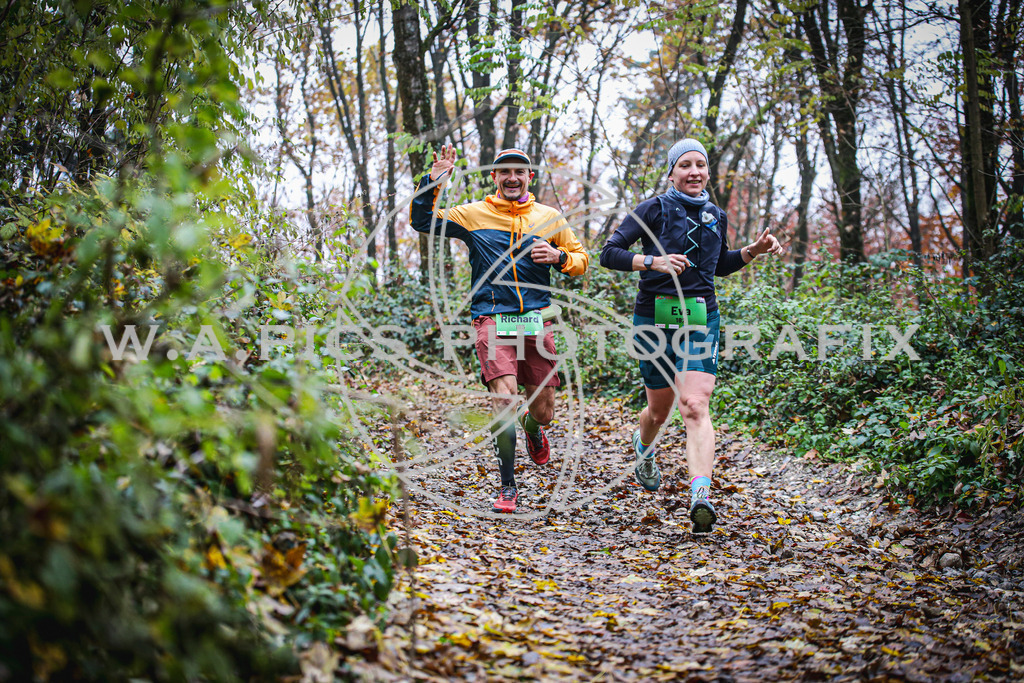 ..... | LEONDING,AUSTRIA,8.November 25, Kürnberglauf 2025  , Image shows: Photo: WAPICS / Andreas Willdoner