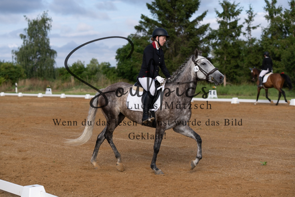 A7V03744 | Pferdefotograf