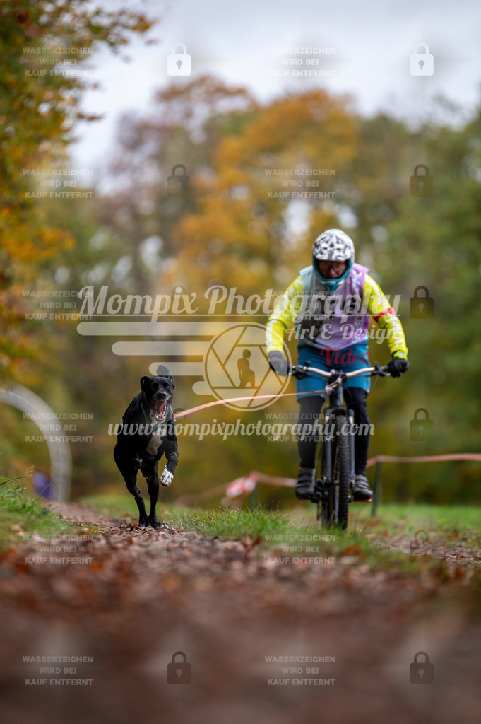 DBT_DAKM_SA_4_11_2023_Bike-72 | PayLife