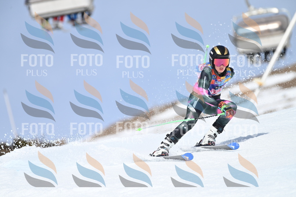 BGV_3429 | holidayphoto