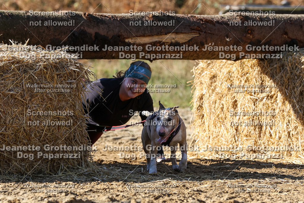 Dog Paparazzi - Strongdog 10-25-4651 | Dog Paparazzi Jeanette Grottendiek Fotografie & Videografie