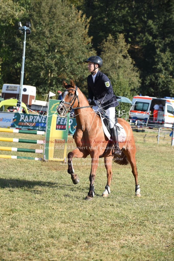 DSC_5244 | Pferde- und Turnierfotografie in Westsachsen. Pferdeportraits, Auftragszeichnungen und intuitive Kunst.