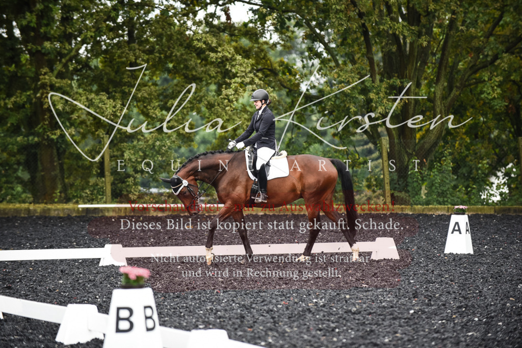 DSC_2700 | Pferde- und Turnierfotografie in Westsachsen. Pferdeportraits, Auftragszeichnungen und intuitive Kunst.