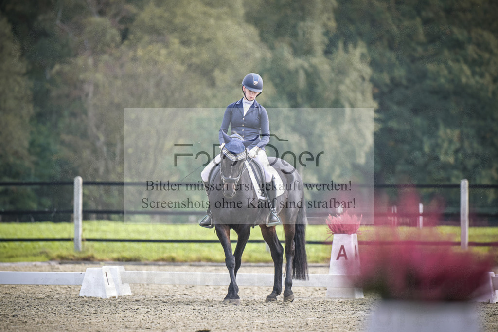 DOS_B608 | Entdecke hochwertige Reitturnierfotos von Foto Oger. Professionell, emotional und authentisch – jetzt Lieblingsmomente im Shop bestellen. - Realisiert mit Pictrs.com