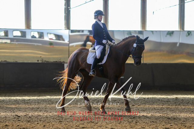 IMG_2380 | Turniersportfotografie; Pferdefotografie; Dressurfotografie