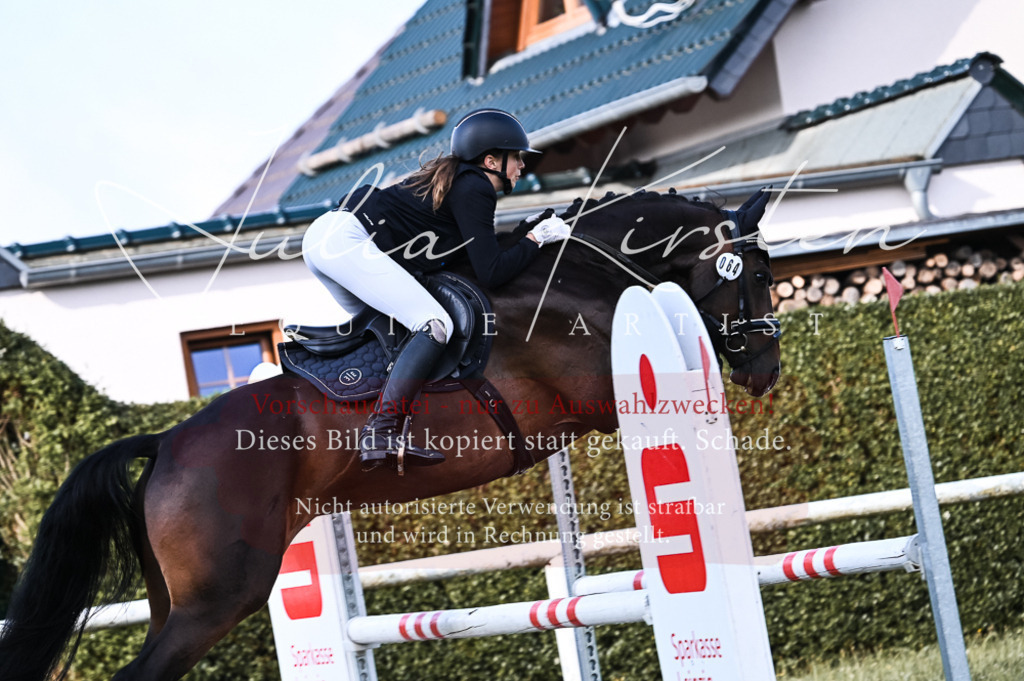 DSC_7597 | Pferde- und Turnierfotografie in Westsachsen. Pferdeportraits, Auftragszeichnungen und intuitive Kunst.