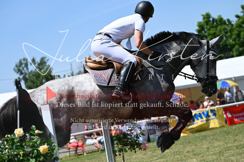 DSC_0552 | Pferde- und Turnierfotografie in Westsachsen. Pferdeportraits, Auftragszeichnungen und intuitive Kunst.