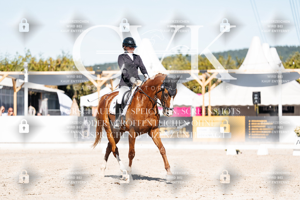 CK908834 | Turnierfotografie Pferdefotografie Trier Rheinland-Pfalz Pferdesport Reitsport Tierfotografie Sportfotografie Pferdevideo Pferdevideografie Equestrianvideography equestrianphotography  - Realisiert mit Pictrs.com