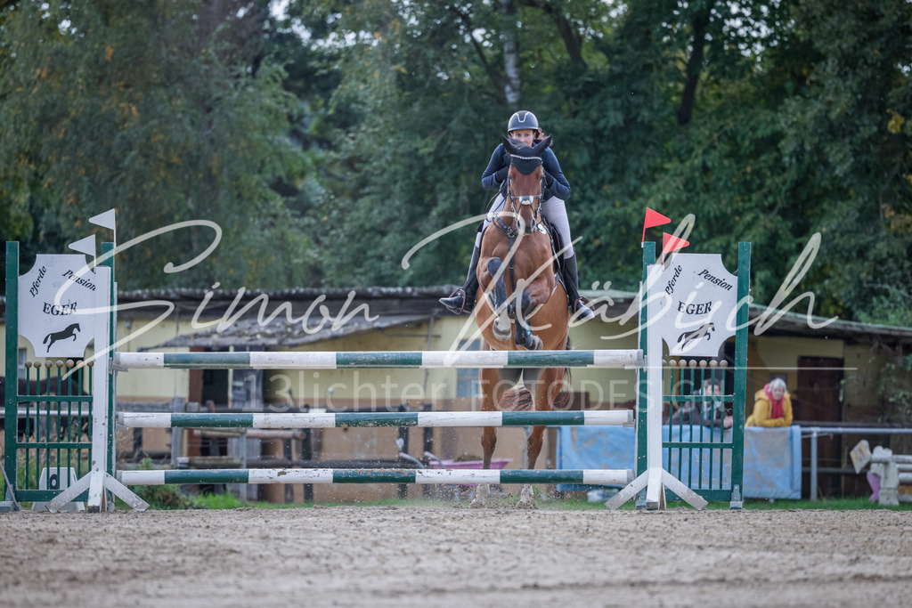 20251012-_3LI5501 | Tierfotografie Pferde, Hunde, Katzen, Haustiere.
Turnierfotografie Reitturniere, Reiten, Springreiten, Dressur in Hanau, dem Main-Kinzig-Kreis und dem Rhein-Main- Gebiet um Frankfurt