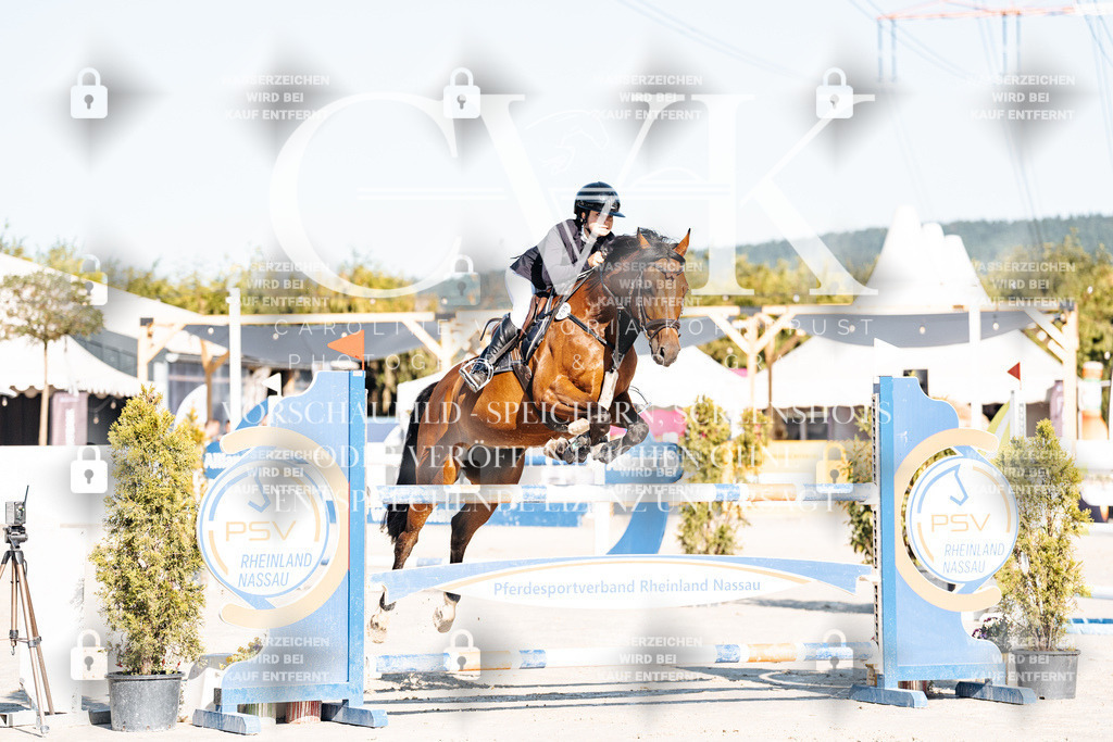 CK904284 | Turnierfotografie Pferdefotografie Trier Rheinland-Pfalz Pferdesport Reitsport Tierfotografie Sportfotografie Pferdevideo Pferdevideografie Equestrianvideography equestrianphotography  - Realisiert mit Pictrs.com