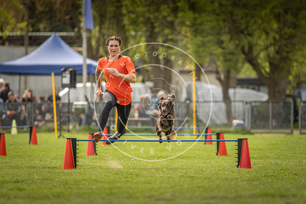 Pfotenfotografie_DV3A6159 | Hundefotografie, Tierfotograf, Pfotenfotografie, Fotoshooting Hund, Hunde Portrait, Hundesport, Hundeportraits, Heideshooting, Hunde, Sportfotograf, Hundefotograf, Turnierhundsport, THS,  - Realisiert mit Pictrs.com