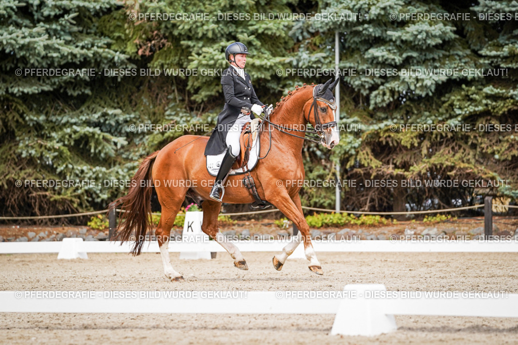 DSC06532 | Pferdegrafie