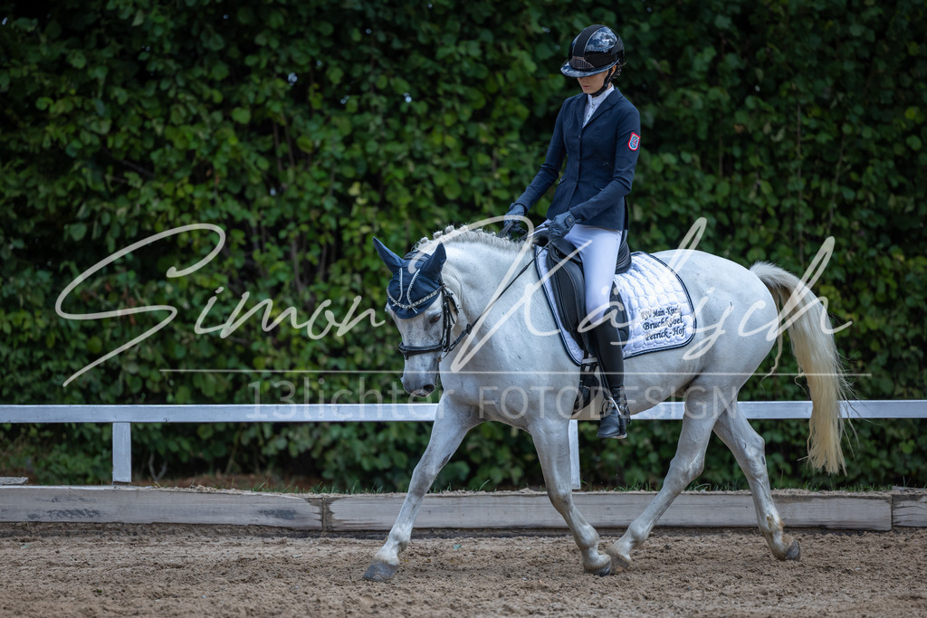 20260905-_3LI8168 | Tierfotografie Pferde, Hunde, Katzen, Haustiere.
Turnierfotografie Reitturniere, Reiten, Springreiten, Dressur in Hanau, dem Main-Kinzig-Kreis und dem Rhein-Main- Gebiet um Frankfurt