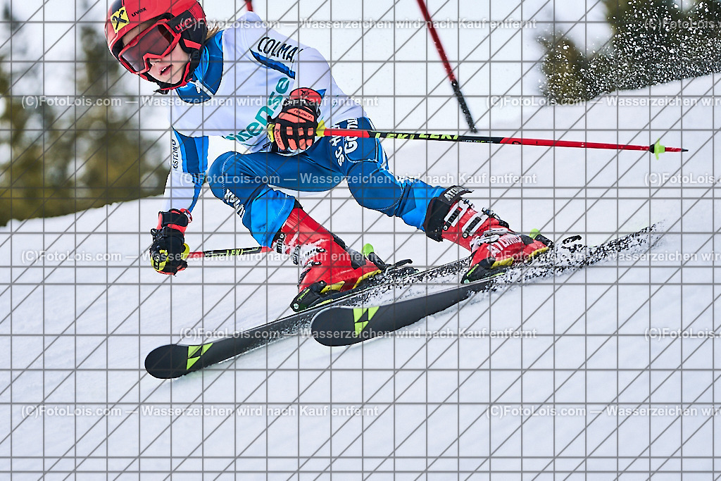 ALP3998_KinderVergleich-RTL-II_Trattenbach_Stalzer Elias Jonathan | NÖ Landeskindervergleichskampf-Riesentorlauf auf dem Feistritzsattel in zwei Durchgängen, Sa 25. Jänner 2025.