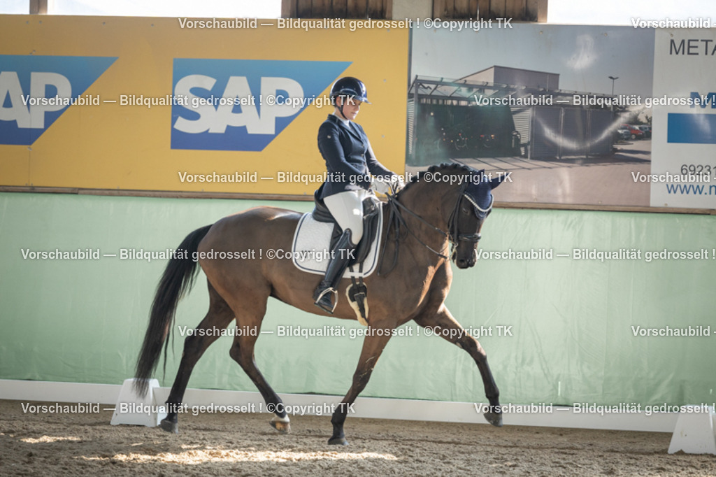 _D5A2837 | Emotionale Pferde- & People-Fotografie rund um Heidelberg, Leimen & Umgebung. Natürliche Fotos von Pferd, Mensch & Familie. Jetzt Termin sichern!