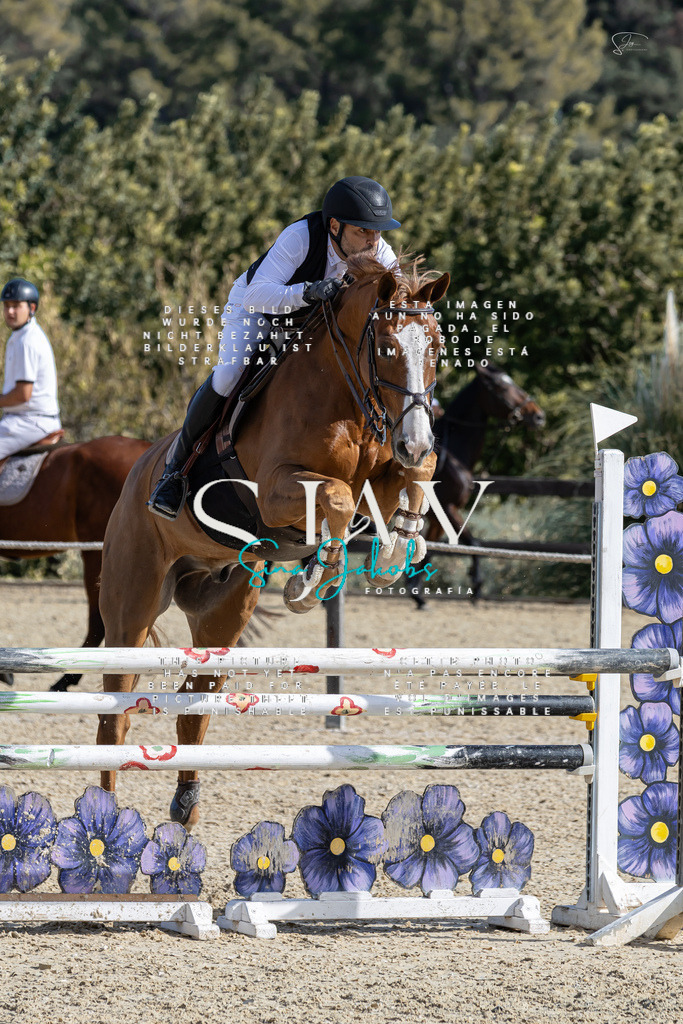 IMG_0428 | s-jay-photography - Realisiert mit Pictrs.com