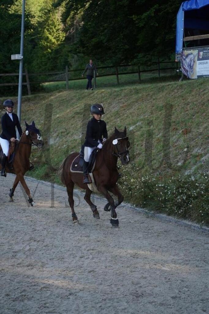 tgbhsonntag (148) | d.tail Visions - Shop - Realisiert mit Pictrs.com